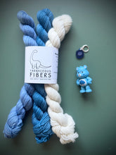 Load image into Gallery viewer, Beary Carey Gnomes Full Set { In Stock }