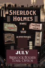 Load image into Gallery viewer, Classic Literature Tonal Yarn &amp; Fiber Club { Monthly Option }