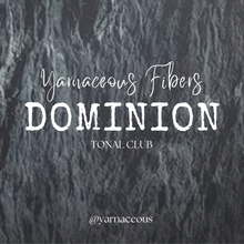 Load image into Gallery viewer, Dominion Monthly Yarn Club Tonal