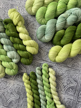 Load image into Gallery viewer, 2026 Color Club Yarn Club { Monthly Option }