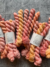 Load image into Gallery viewer, March 2026 Color Club Yarn Club Extras { In Stock }