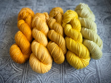 Load image into Gallery viewer, 2026 Color Club Yarn Club { Monthly Option }