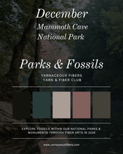 Load image into Gallery viewer, Parks &amp; Fossils Tonal Yarn &amp; Fiber Club { Monthly Option }