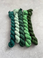 Load image into Gallery viewer, 2026 Color Club Yarn Club { Monthly Option }