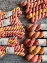 Load image into Gallery viewer, March 2026 Color Club Yarn Club Extras { In Stock }