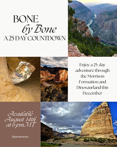 Bone by Bone Countdown { Ships Early November }