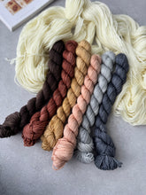 Load image into Gallery viewer, Dog Days Sock Set { In Stock }
