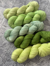 Load image into Gallery viewer, 2026 Color Club Yarn Club { Monthly Option }