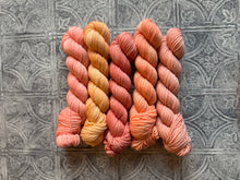 Load image into Gallery viewer, March 2026 Color Club Yarn Club Extras { In Stock }