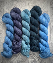 Load image into Gallery viewer, 2026 Color Club Yarn Club { Monthly Option }