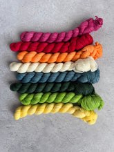 Load image into Gallery viewer, Yarns We Meet on Vacation Tonal Set { Preorder }