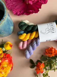 Stars Hollow Mini Set { In Stock & Dye to Order }