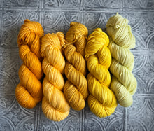 Load image into Gallery viewer, 2026 Color Club Yarn Club { Monthly Option }