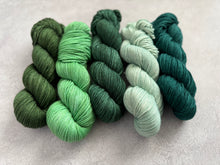 Load image into Gallery viewer, 2026 Color Club Yarn Club { Monthly Option }