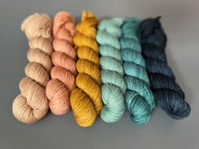 Load image into Gallery viewer, Rhinebeck Tonal Set { Dye to Order }