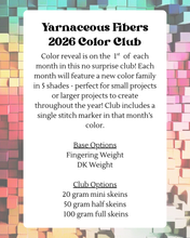 Load image into Gallery viewer, 2026 Color Club Yarn Club { Monthly Option }