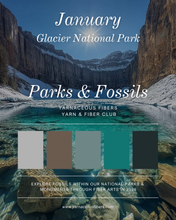 Load image into Gallery viewer, Parks &amp; Fossils Tonal Yarn &amp; Fiber Club { Full Year Option }