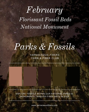 Load image into Gallery viewer, Parks &amp; Fossils Tonal Yarn &amp; Fiber Club { Full Year Option }