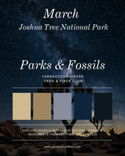 Load image into Gallery viewer, Parks &amp; Fossils Tonal Yarn &amp; Fiber Club { Full Year Option }