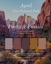 Load image into Gallery viewer, Parks &amp; Fossils Tonal Yarn &amp; Fiber Club { Full Year Option }
