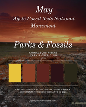 Load image into Gallery viewer, Parks &amp; Fossils Tonal Yarn &amp; Fiber Club { Full Year Option }