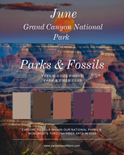 Load image into Gallery viewer, Parks &amp; Fossils Tonal Yarn &amp; Fiber Club { Full Year Option }