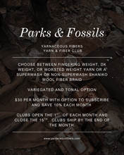 Load image into Gallery viewer, Parks &amp; Fossils Tonal Yarn &amp; Fiber Club { Monthly Option }