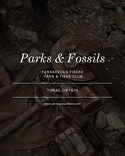 Load image into Gallery viewer, Parks &amp; Fossils Tonal Yarn &amp; Fiber Club { Full Year Option }