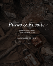 Load image into Gallery viewer, Parks &amp; Fossils Variegated Yarn &amp; Fiber Club { Full Year Option }