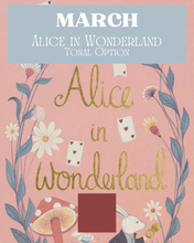 Load image into Gallery viewer, March Classic Literature Tonal Yarn &amp; Fiber Club { Monthly Option }