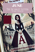 Load image into Gallery viewer, Classic Literature Tonal Yarn &amp; Fiber Club { Monthly Option }