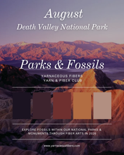 Load image into Gallery viewer, Parks &amp; Fossils Tonal Yarn &amp; Fiber Club { Monthly Option }