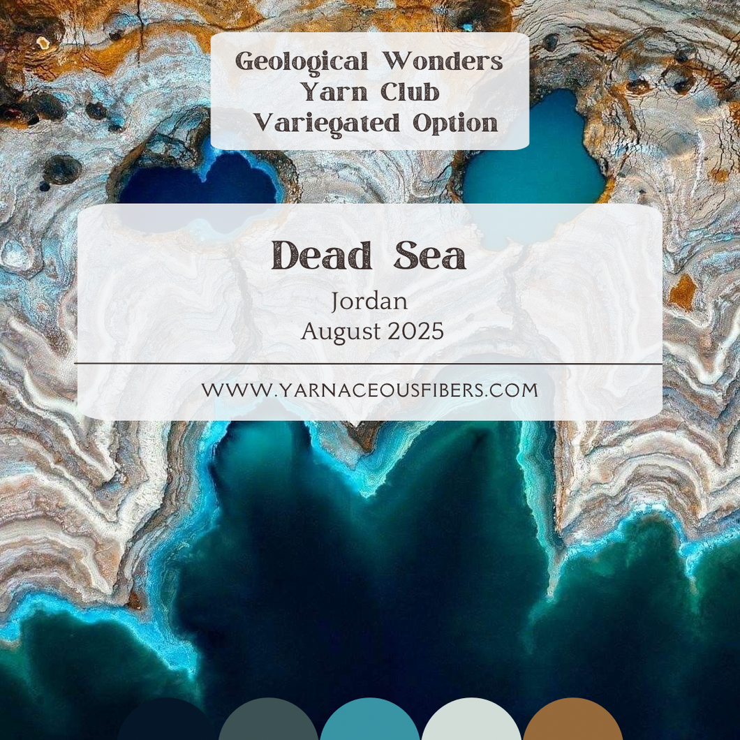 Geological Wonders Variegated Yarn Club { August }