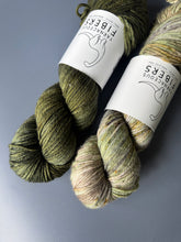 Load image into Gallery viewer, Fossil Frenzy Sets { Dye to Order }