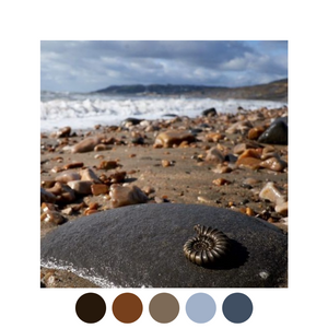 { Fossils by the Sea - 25 Day Countdown }