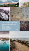 Load image into Gallery viewer, { Fossils by the Sea - 25 Day Countdown }