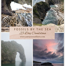 Load image into Gallery viewer, { Fossils by the Sea - 25 Day Countdown }